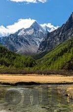 成人免费视频情-成人免费视频内容的潜在风险与影响