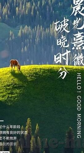 老司机在线一区二区三区-老司机在线一区二区三区的多元体验与探索