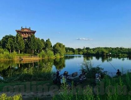 麻豆传媒高清-窥探数字时代的传媒边界，麻豆传媒高清现象的省思