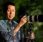 人妻互换五个闺密二女共侍一夫-闺密间的非凡情谊，人妻互换与二女共侍一夫的独特故事
