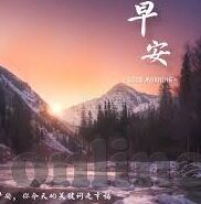 神马午夜麻豆视频-探索网络文化的神秘角落，今晚，让我们谈谈神马午夜与麻豆视频的故事